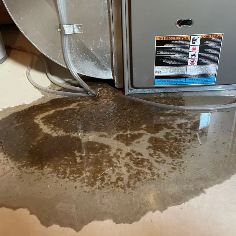 Pipe Burst and Leak Restoration in Amherst, MA